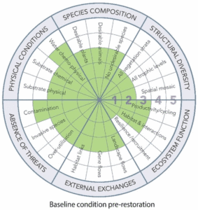 Planning priorities at baseline restoration stage