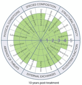Planning priorities at the 10-year post-restoration stage
